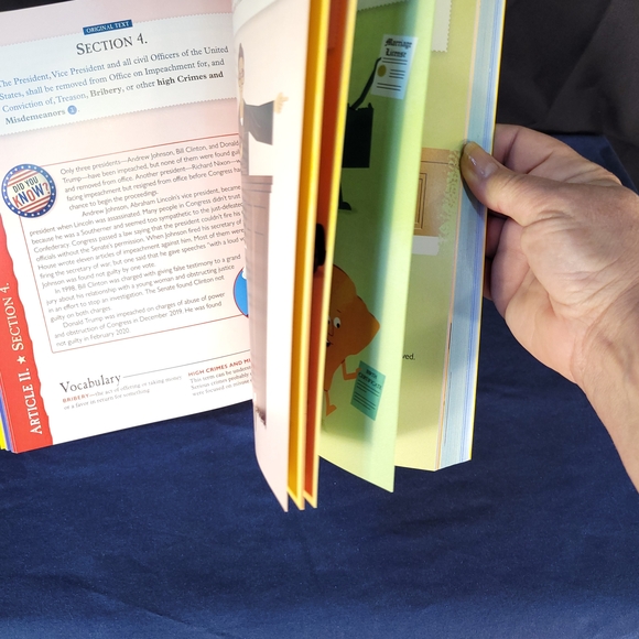 The Constitution Decoded Book - Picture 10 of 11